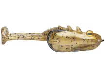 Storm Surge Frog