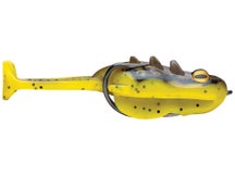 Storm Surge Frog