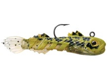 Storm Surge Goby