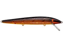 Smithwick Suspending Super Rogue Jerkbait 5"