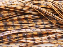 Skirts Unlimited Barbwire Skirts 10pk