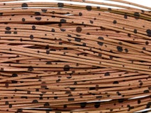 Skirts Unlimited Dalmatian Skirts 10pk