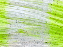 Skirts Unlimited Finesse Series Skirts 10pk