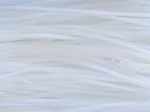 Skirts Unlimited Solid Color With Flake Skirts 10pk