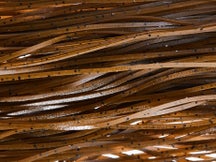 Skirts Unlimited Solid Color With Flake Skirts 10pk