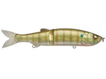 Whiplash Factory Swayward Glide Bait