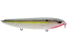 SPRO Walking Haint Nasty Shad 125