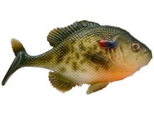 Smash-Tech Little Weedless Bluegill Swimbaits