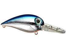 Storm Wiggle Wart Madflash