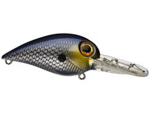 Storm Wiggle Wart Madflash Crankbaits 