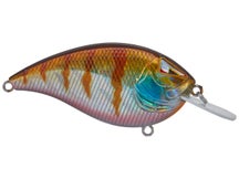 Team Ark Elite Z-Flat Flatside Crankbaits