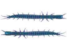 Tackle HD HD Mega Mite Junebug 8"