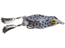 Teckel USA Honker Frog