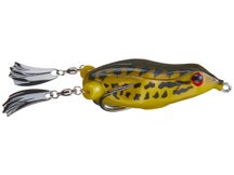 Teckel USA Honker Frog