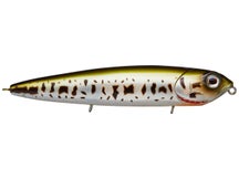 Teckel USA Kicknocker Baby Bass