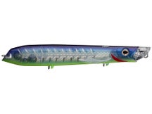 Teckel Slashkicker Pro Blue Shore