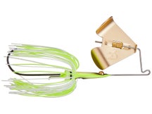 Teckel USA Maxqueaker Pup