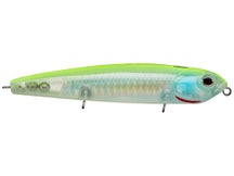 Teckel USA Kicknocker PUP SPEC II Walking Bait