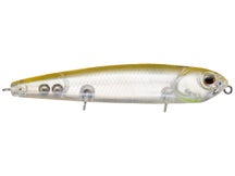 Teckel USA Kicknocker PUP SPEC II Walking Bait