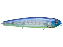 Teckel USA Kicknocker PUP Pro Blue Shore
