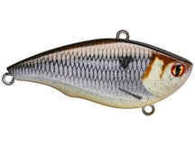 TW x Peyton Stumpf Rattl'n Vibe Shadow Shad 2.6"