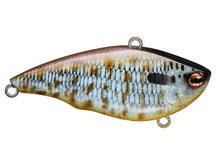 TW x Peyton Stumpf Rattl'n Vibe Smokin Gill 2.6"