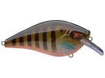 Team Ark CT 1.5 Series Squarebill Crankbaits