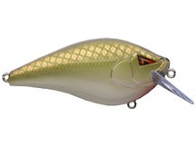 Team Ark CT 2.5 Series Squarebill Crankbaits