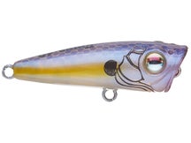 Damiki Umpa 40 BFS Topwater Popper