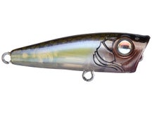 Damiki Umpa 40 BFS Topwater Popper