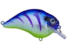 Tightlines UV Itao Squarebill Table Rock 