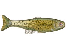 West Coast Baits Baby Roma Trout 6"