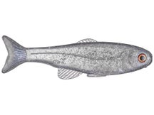 West Coast Baits Baby Roma Trout 6"
