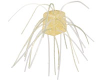 WOO! Tungsten Cube 4pk