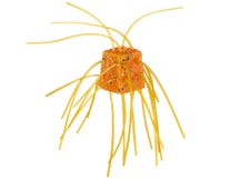 WOO! Tungsten Cube 4pk