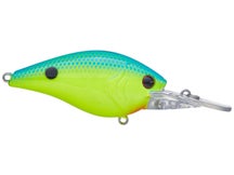 Xcite Baits XB-1 DD Crankbait