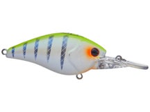 Xcite Baits XB-1 DD Crankbait