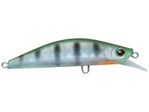 YZ 3DR-X Flat Heavy Minnow 80 Matte Ghost Perch