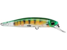 Yo-Zuri 3DR Jerkbait Real Perch