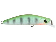 YZ 3DR-X Flat Heavy Minnow 60 Matte Ghost Perch