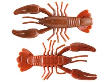 Yum Ned Craw