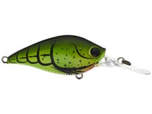 Yo-Zuri 3DB Series Mid Range 1.5 Crankbait