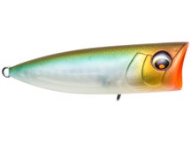 Yo-Zuri Pro Popper 70 Matte Ghost Pearl Shad