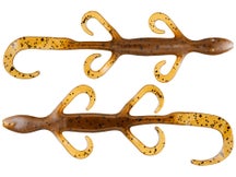 Zoom Lizards