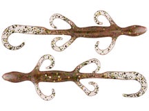 Zoom Lizards