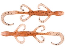 Zoom Lizards