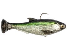Z-Man Shadtron LT Swimbait