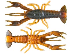 Download Savage Gear Ned Craw 4pk Tackle Warehouse