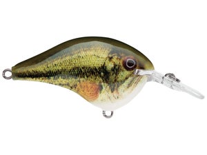 Rapala DT6 Series Crankbaits - Tackle Warehouse