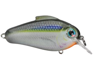 bill lewis echo 1.75 squarebill crankbaits